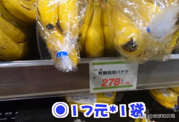 日本西瓜200人民币一个？这背后不为人知的是……|地球知识局