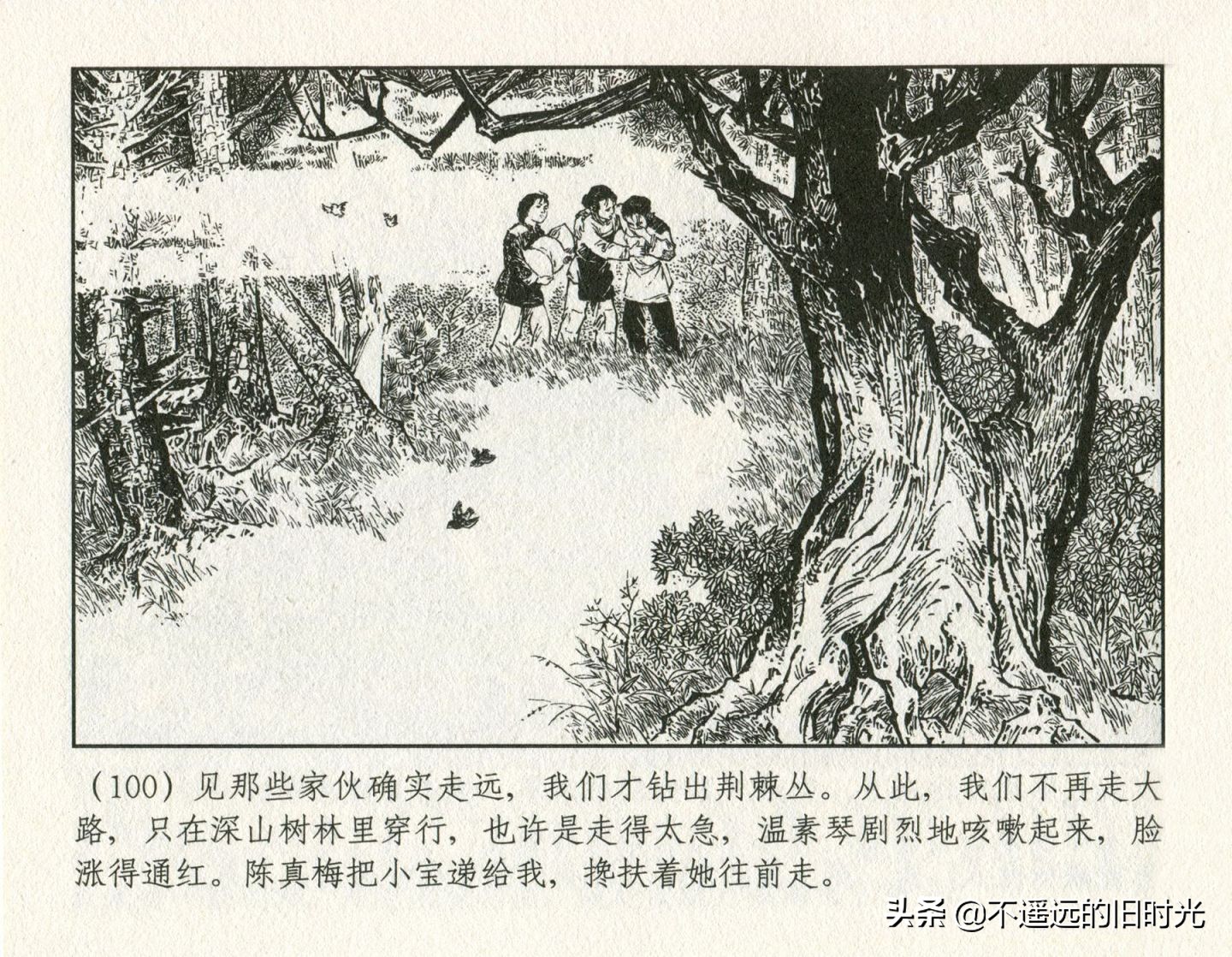 朝阳花-上海人民美术出版社1981初版2016再版陆成法陆小弟绘