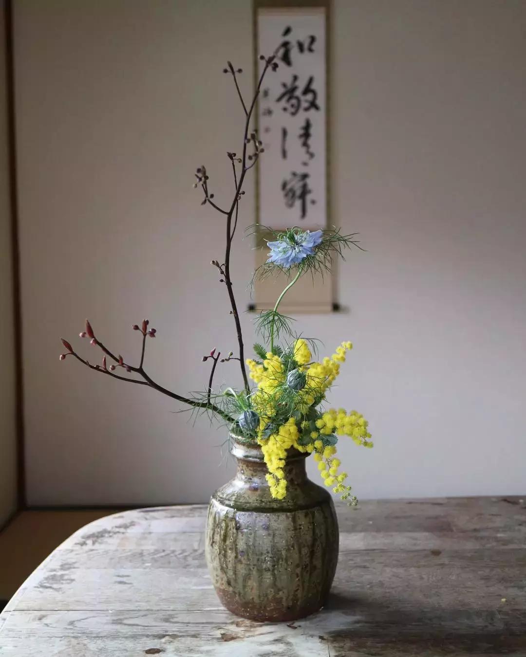 创意禅意插花月季盘花,禅意插花100例兰花