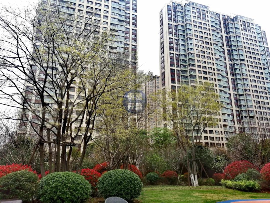 河西南公寓值不值得买,河西南房价能跌破300万吗