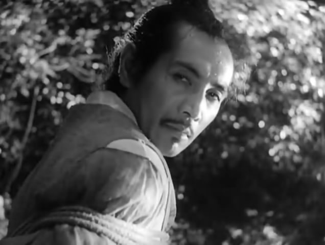 罗生门谜案的故事,罗生门谜案