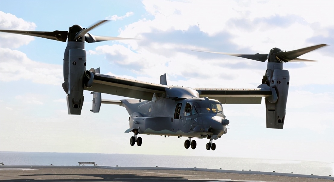 日本小的弊端：“鱼鹰”没处放！佐贺县：忙着养紫菜呢，明年再说