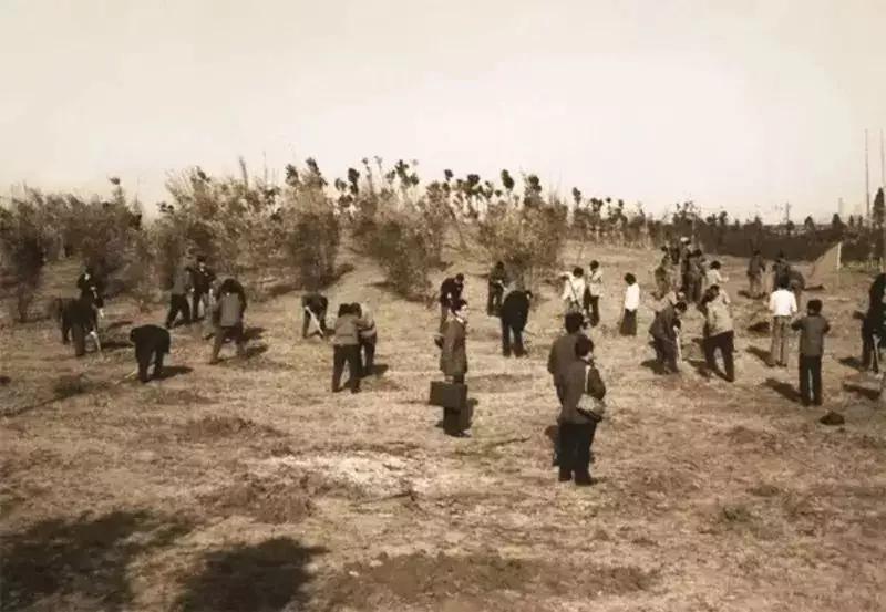 杨树浦、五角场、工人新村……“大杨浦”为什么这么大？