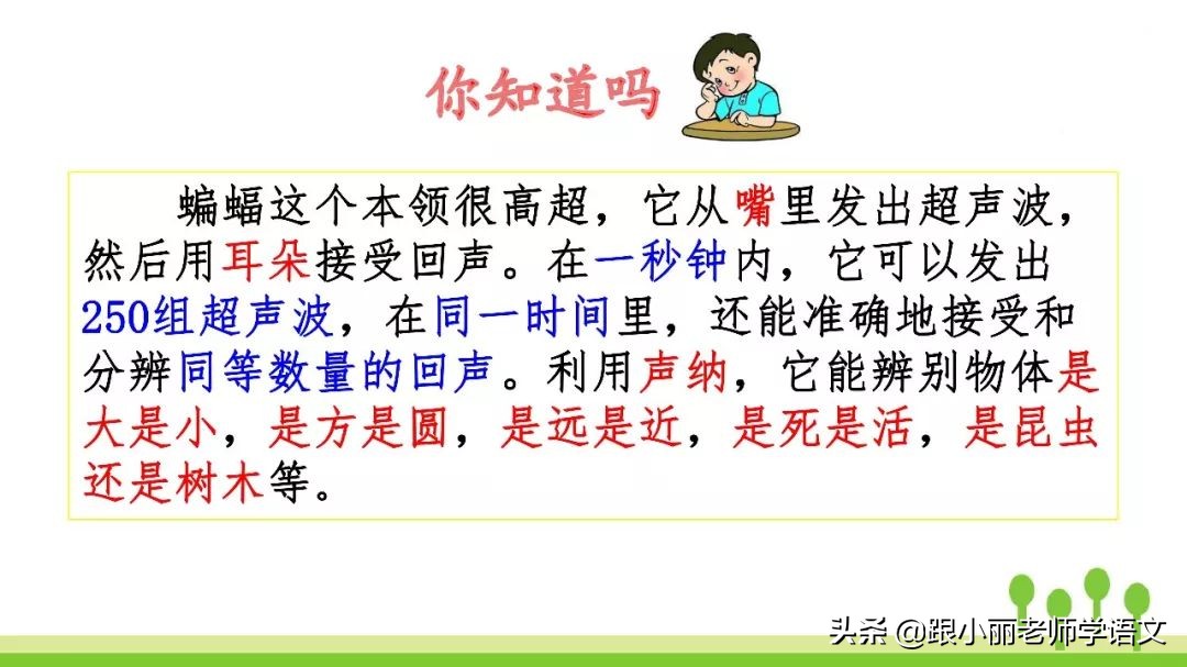 语文思维导图四年级上蝙蝠和雷达,人教版四年级上册蝙蝠和雷达朗读