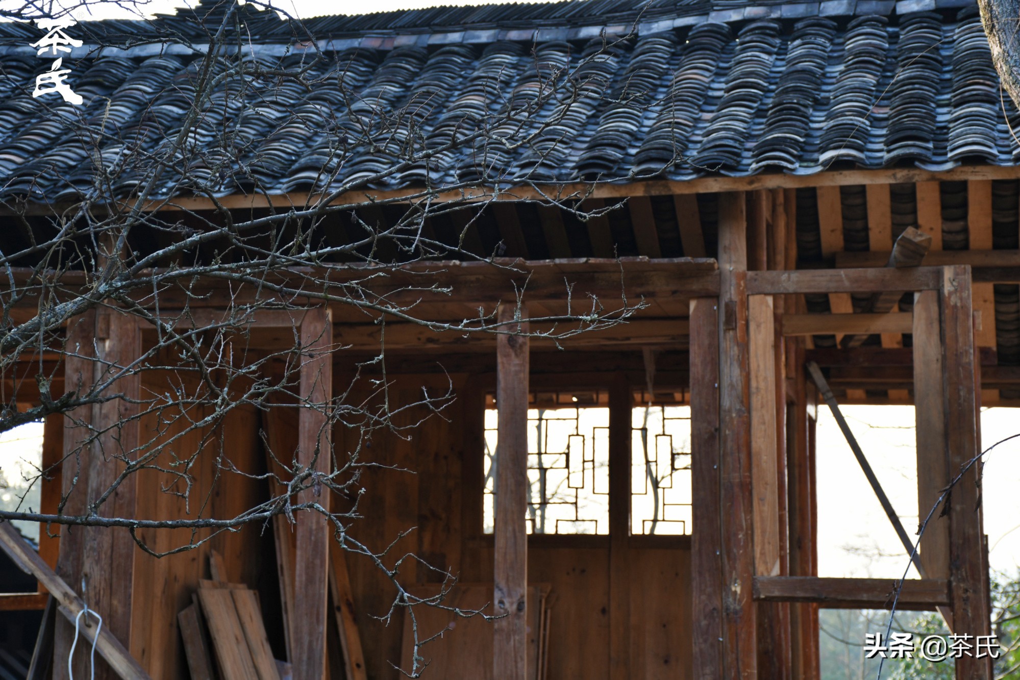 山居生活借山而居,徐州观心山居