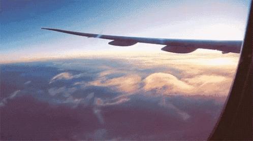 淘宝稀奇古怪的东西大全,淘宝一些有趣的东西