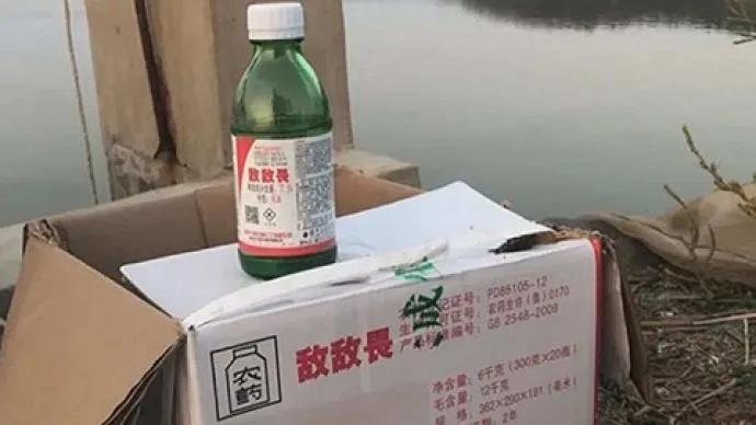 敌敌畏海参曝光3名当事人被控制,山东即墨海参养殖添加敌敌畏