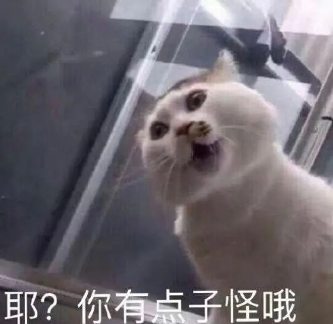 《青蛇劫起》用力过猛，扯到了胯