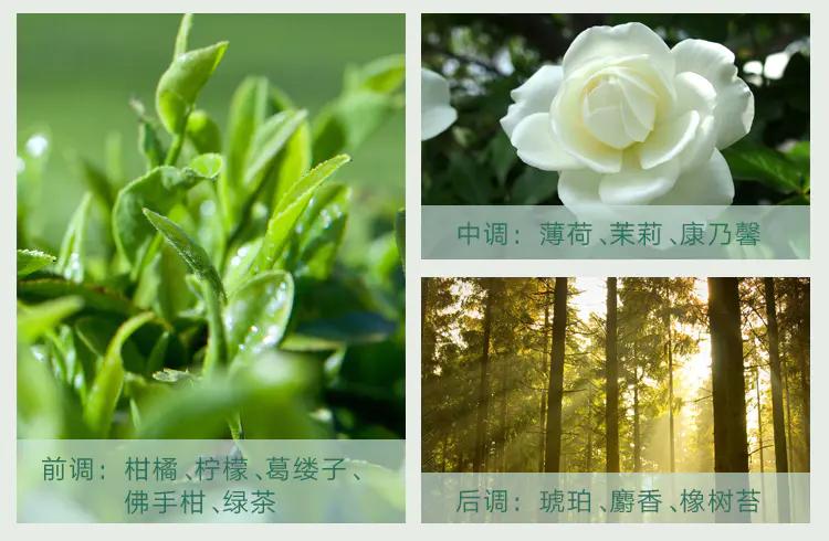 爆款频出的雅顿，原来身体乳也这么好用，抹完皮肤嫩滑自带体香