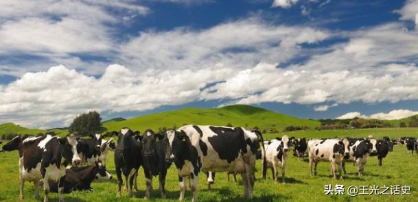 鏂拌タ鍏版槸鍐滀笟鍥藉悧,鍐滀笟鍥芥柊瑗垮叞