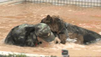 张馨予被黑的经历,将一手烂牌打成王炸的张馨予