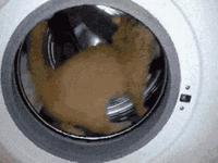 whitewine中文翻译,为什么白酒的英文不是whitewine