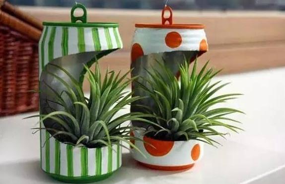 养花不用买花盆既省钱又好看,养花新手怎么养花盆好看