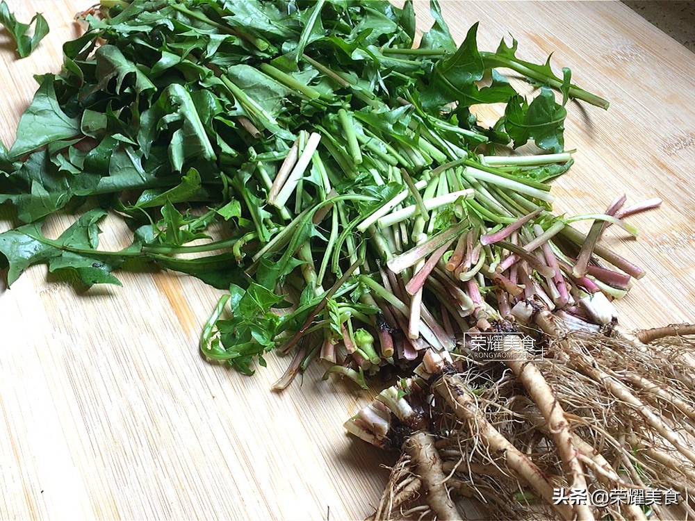 蒲公英野菜什么人不能吃,蒲公英是清热下火的吗