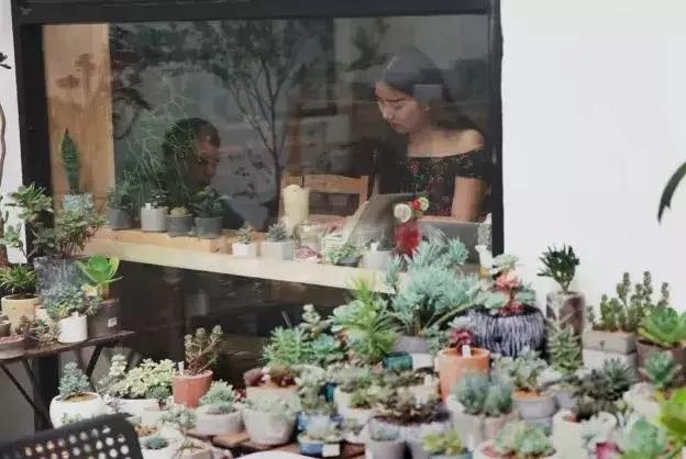 成都近郊10个免费景点,成都小众景点推荐