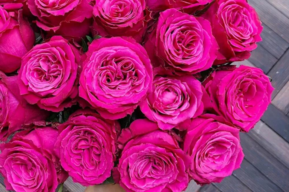 花店必备的5款玫瑰,鲜花图鉴一次性认识30种玫瑰花