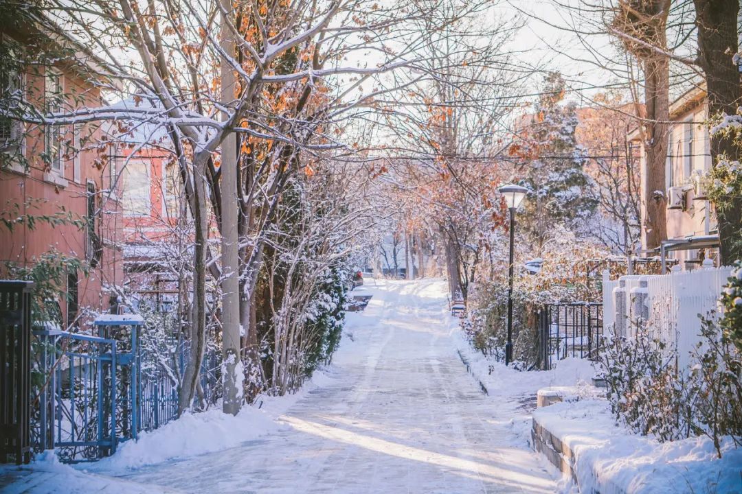 美过三亚!比厦门浪漫!大连这座海滨老城,去一次相当于环游世界