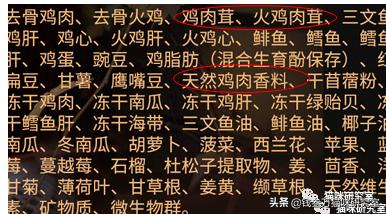 nutrience哈根纽翠斯猫粮,nutrience纽翠斯猫粮