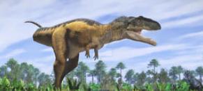 十大肉食性恐龙排名,肉食性恐龙吃什么