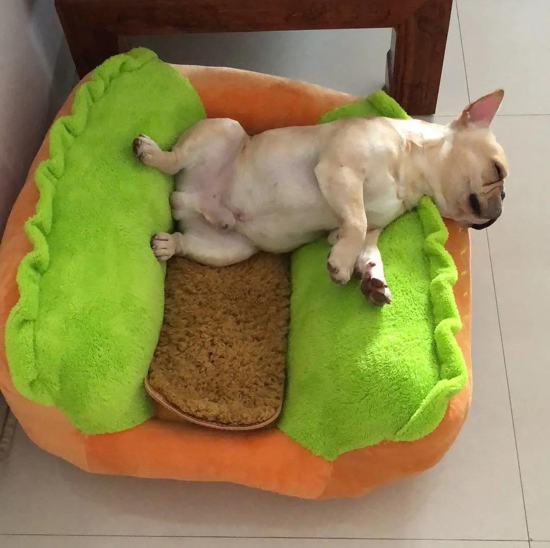 模仿狗狗睡姿,分享下你家狗子的睡姿