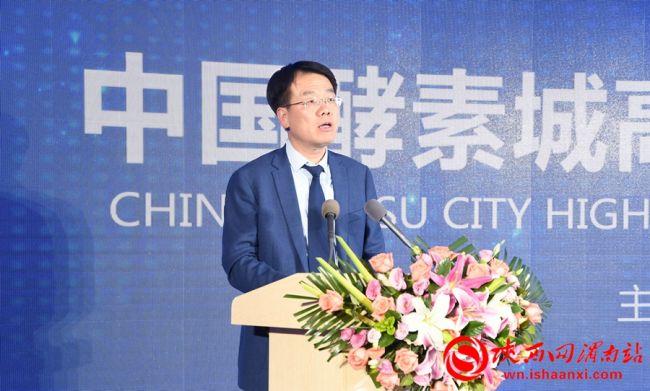 中国酵素城起航,中国酵素城座谈会