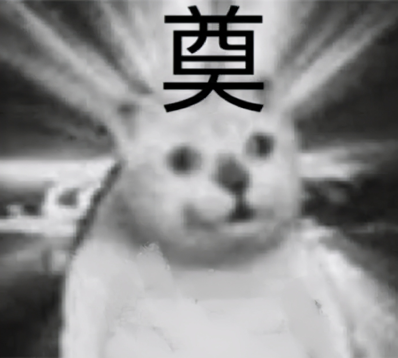 很好看的国货品牌,好吃的国货良心推荐