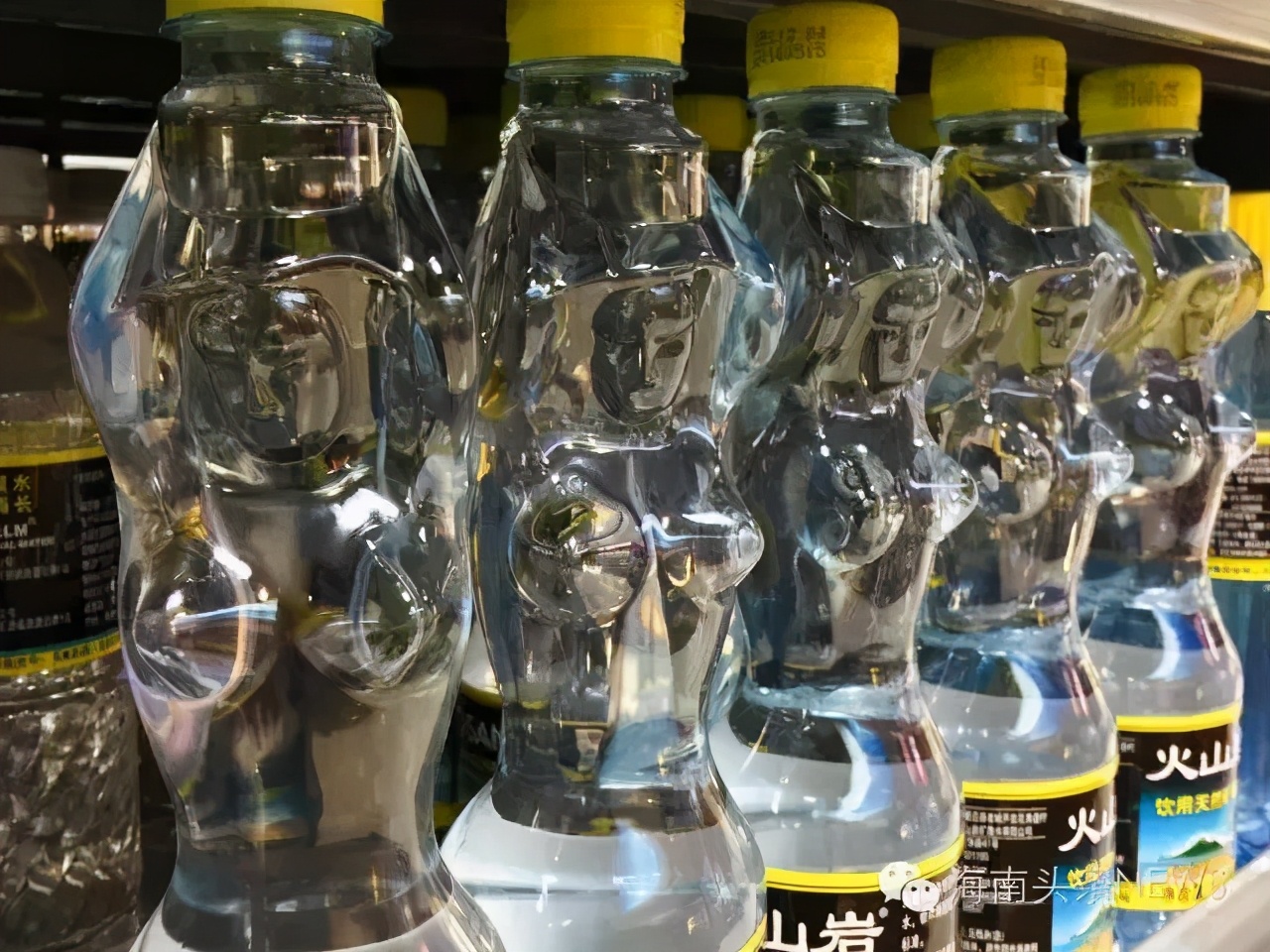 逆行者逆行的原因,逆行者海南