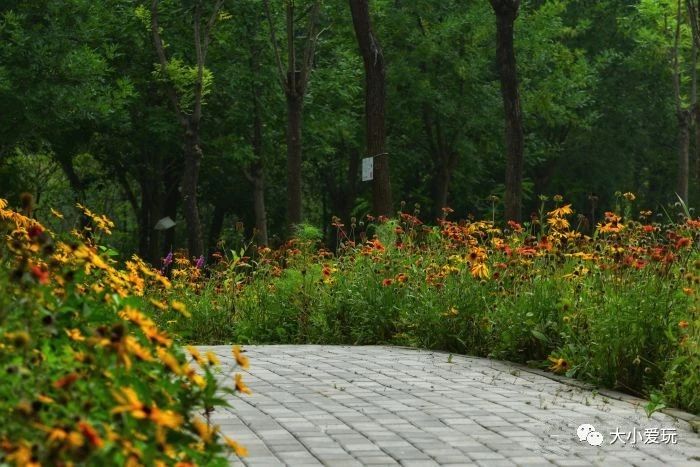 北京遛娃网红打卡地,北京又添一波遛娃新去处