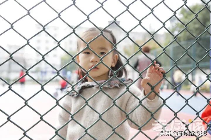 未来可期！向你展现不一样的毛陈