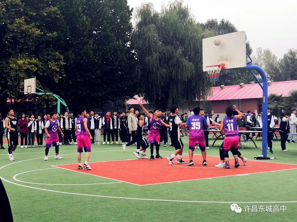 青春梦飞扬篮球比赛视频,正青春梦飞扬大泽山