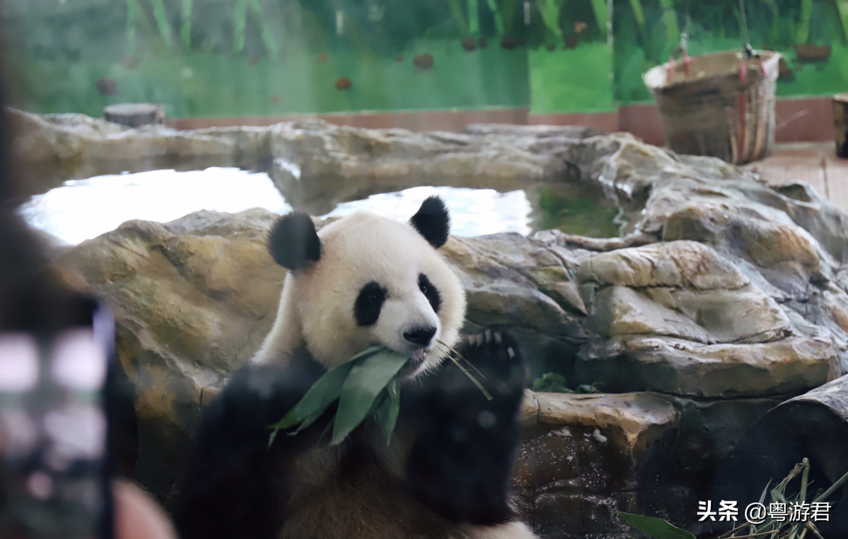 广州越秀公园深藏古代文物,广州动物园发现文物古迹