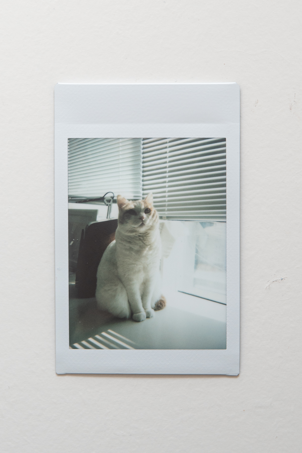 摄影师拍照必备物品有哪些,哪个是你最想拥有的摄影装备