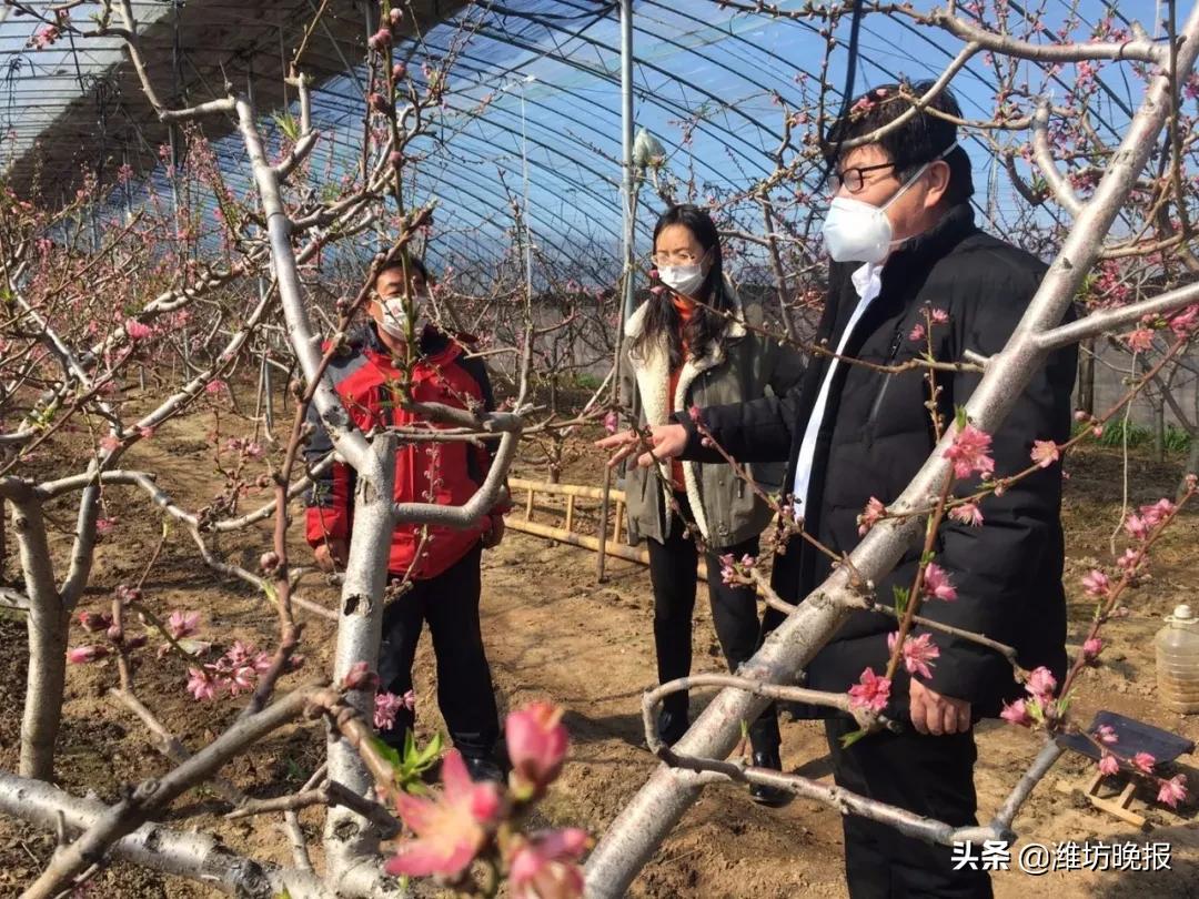 潍坊临朐:服务到地头农户恣心头