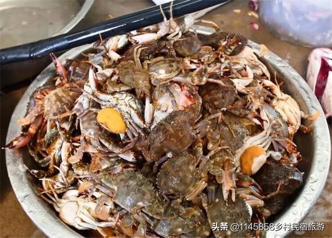 乐亭附近遛娃,乐亭遛娃好去处