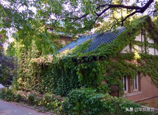 大连八七疗养院战友,大连市八七疗养院的故事