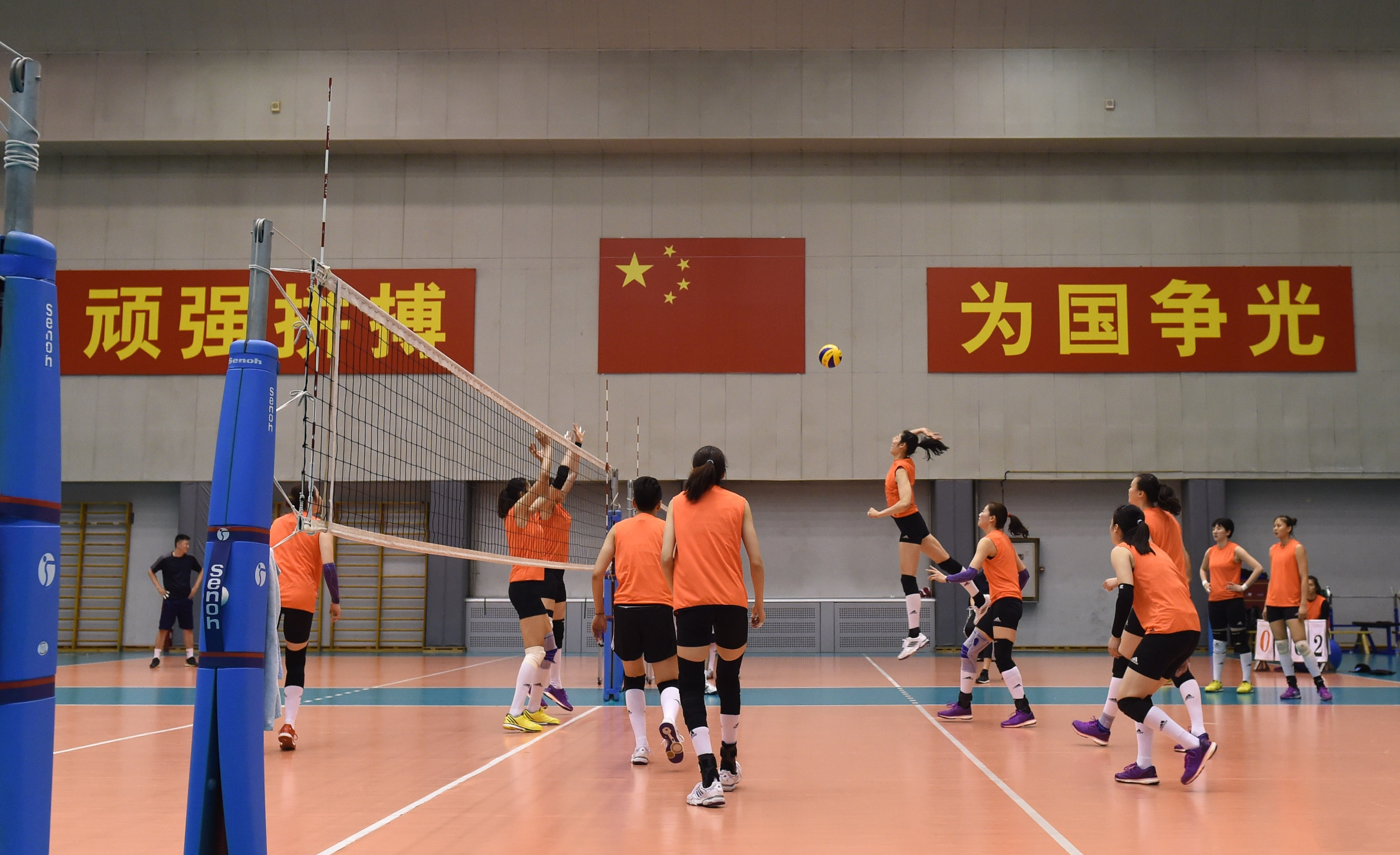 女排朱婷现在近况,朱婷从排球边缘到巅峰的逆袭之路