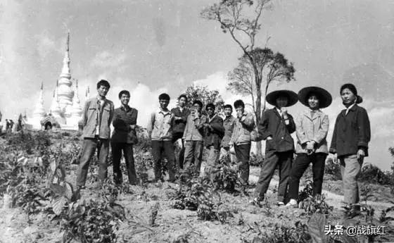 水牛深受蚂蟥之害,大学生好心涂敌敌畏,不料水牛中毒身亡