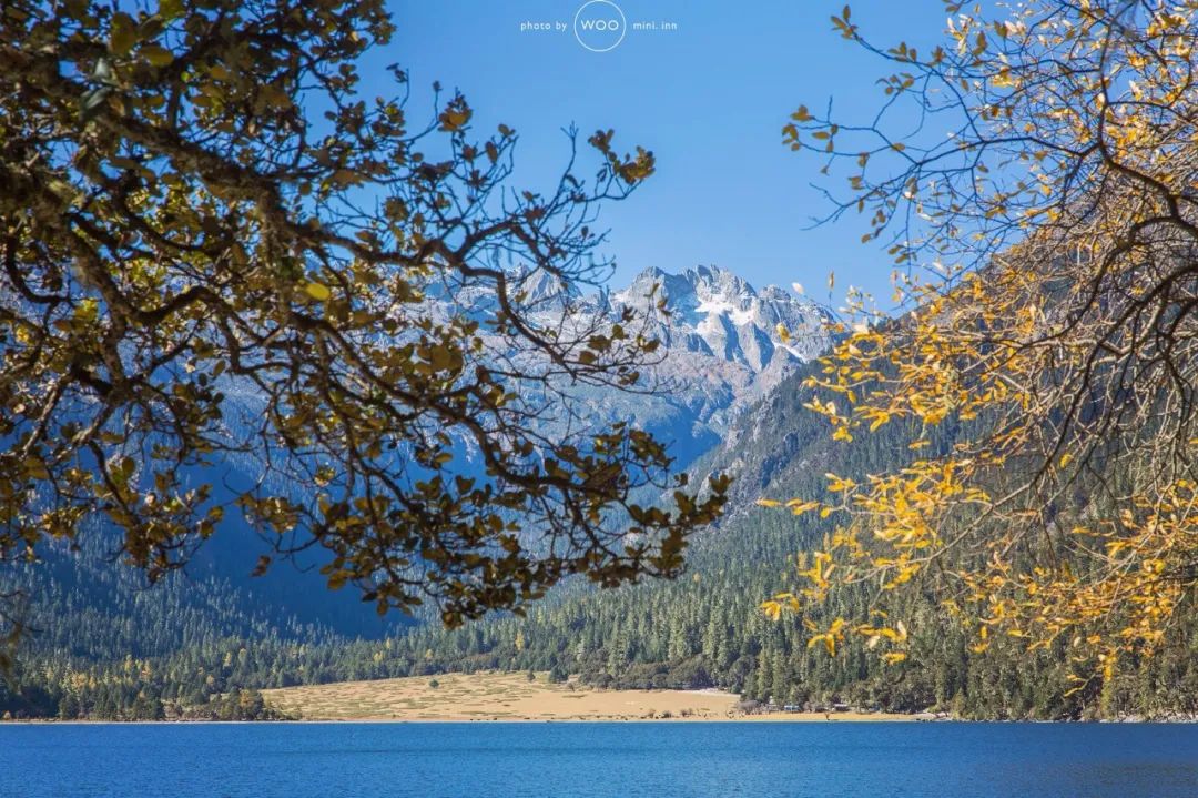 《有翡》取景地曝光！这个海拔3700，现场配救护车的地方要火