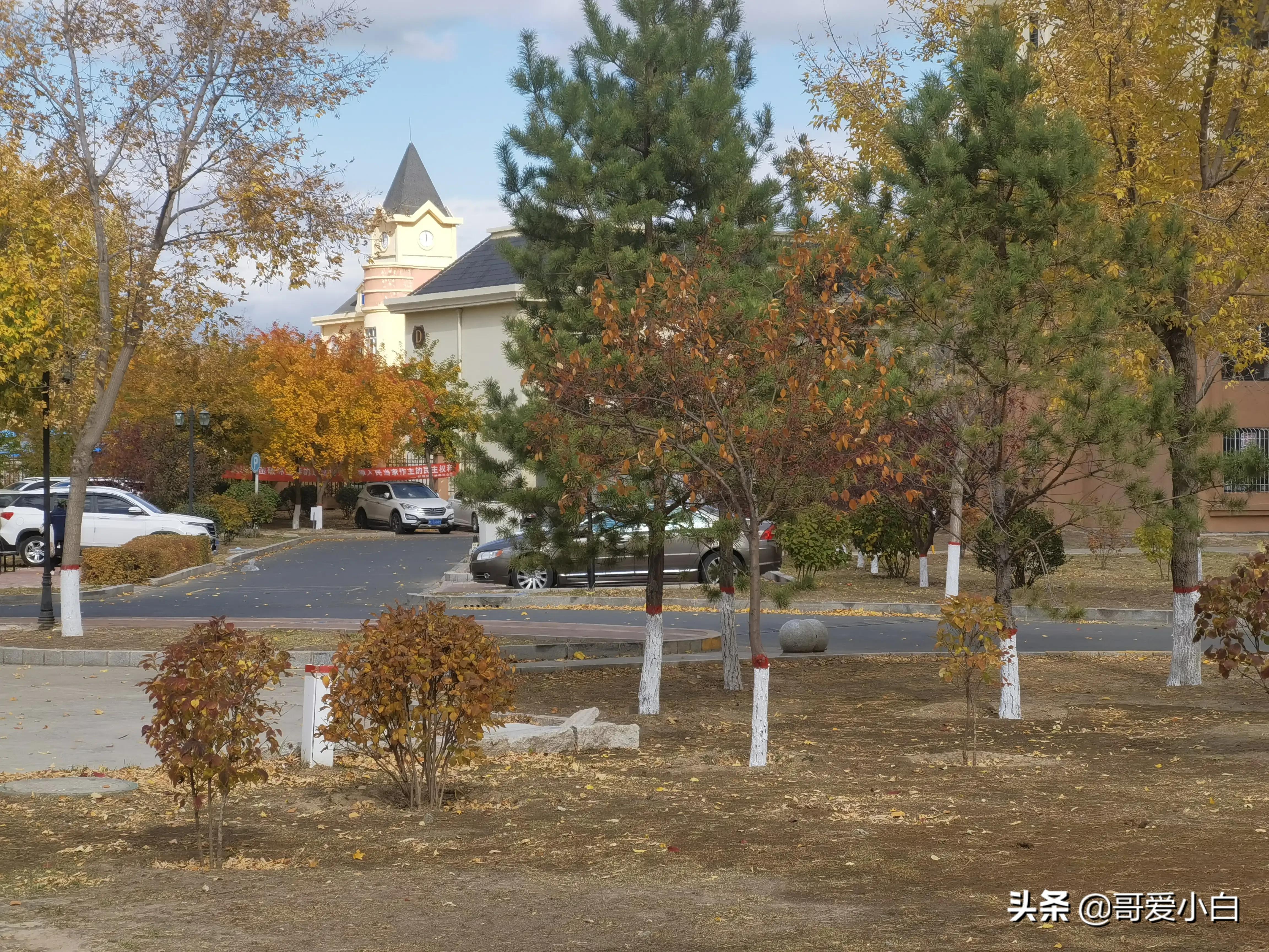 我的奇葩邻居-悲欢喜乐（二）