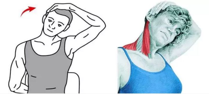 靠墙站真能治驼背？大家都被骗了很多年！