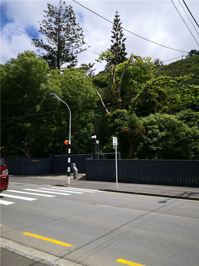 新西兰总理府前吃素食