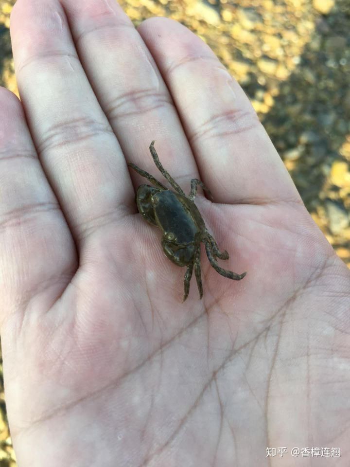 在大连的感受和生活,在大连生活怎么样