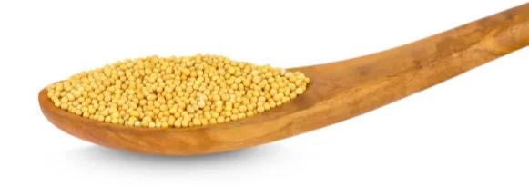 找个减肥的方子快速有效,一个小方子减肥