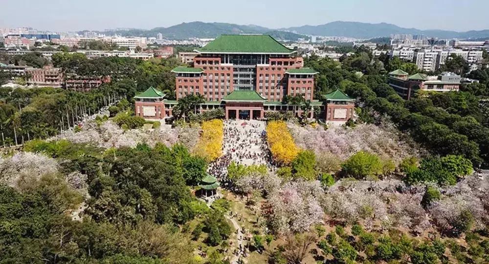 他送的情人节礼物，我居然过敏！