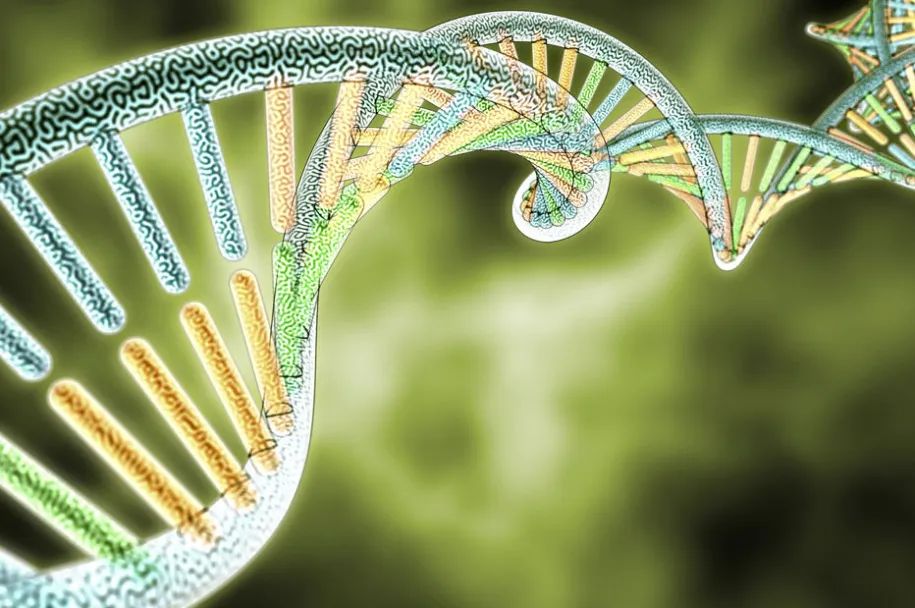 28年前南医女生被杀案告破,28年前南医大女生被杀案告破辟谣