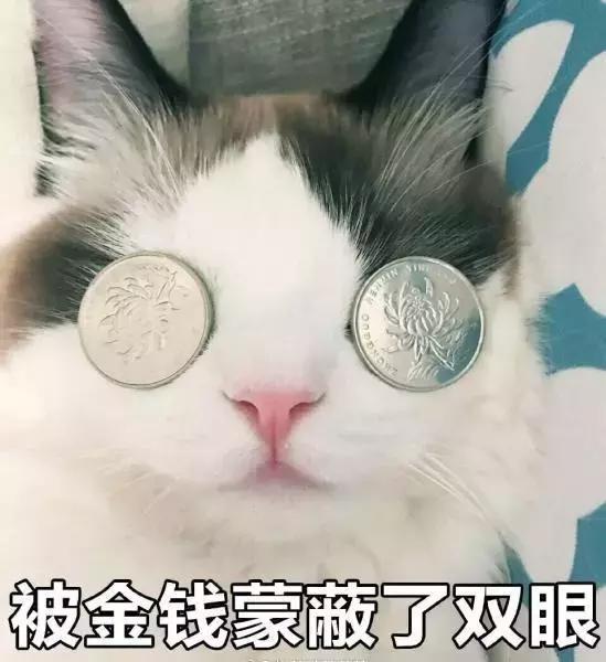 涉案金额2400多万!这位95后孕妈,坑了领导坑熟人……
