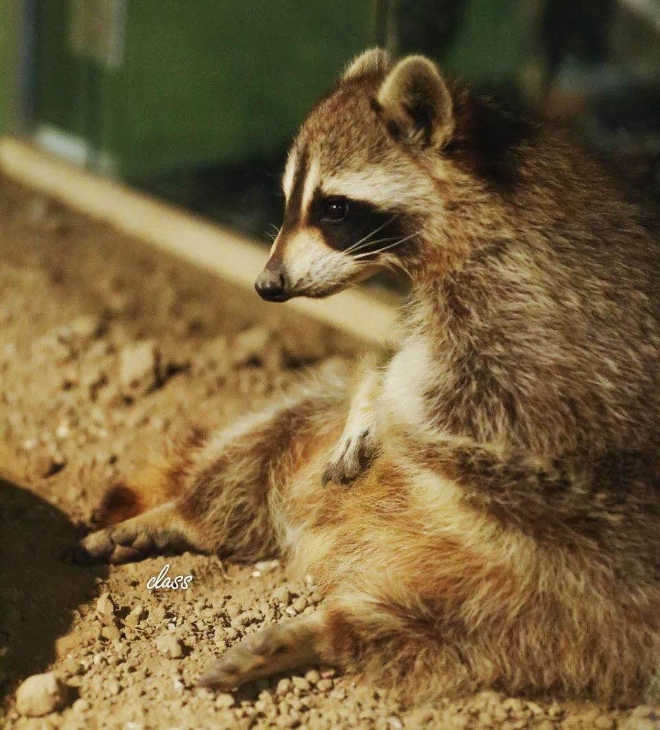 世界冰火未解之谜,世界未解之谜南极时空之门