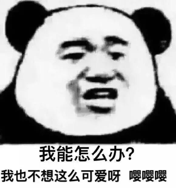表情包我也得想办法整一个,表情包每天都好穷啊