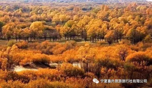 宁夏塞外旅游旅行社有限公司招聘,宁夏塞外旅游旅行社