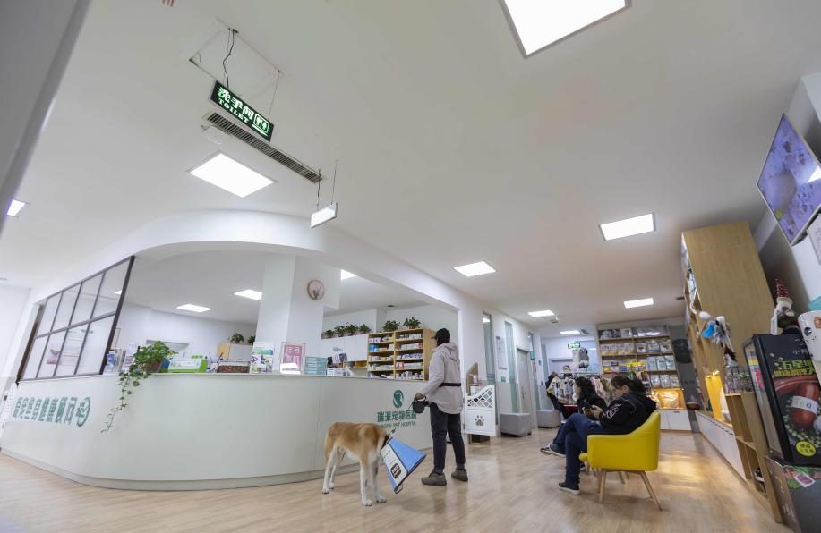 瑞派宠物医院告诉你最牛医院的正确打开方式